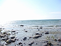 Western Michigan [2010] 811